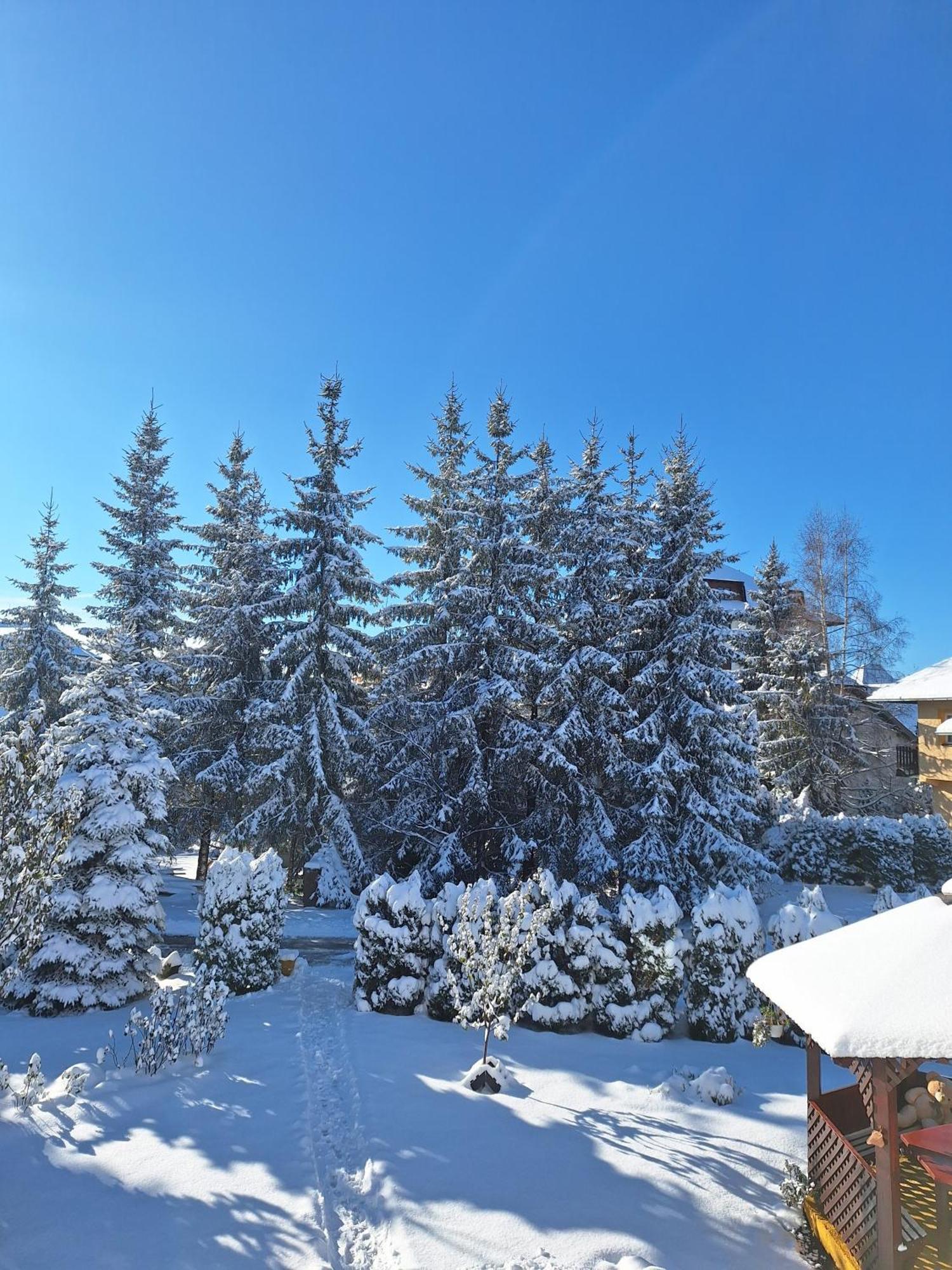 Apartmani Nika Zlatibor Exteriör bild
